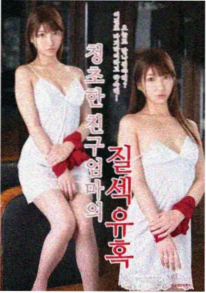 幕府将军